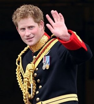 �w�����[���q